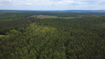 /international/us/rocky-ridge-rd-columbiana-al-110119684951/