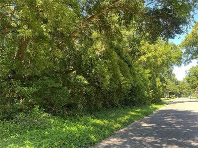 /international/us/426-w-michigan-avenue-lake-helen-fl-110092316329/