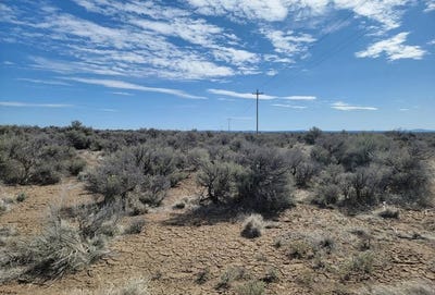 /international/us/tl1200-campbell-rd-christmas-valley-or-110105359753/