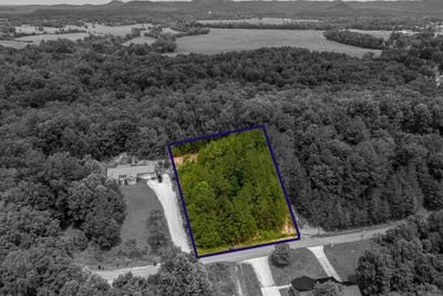 /international/us/evergreen-drive-lot-15-stanton-ky-110108743839/