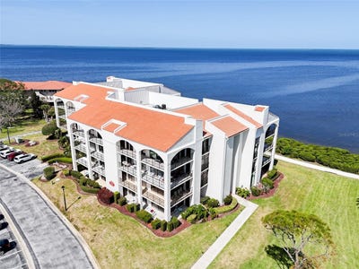 /international/us/433-mariner-drive-tarpon-springs-fl-110099067100/