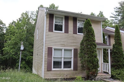 /international/us/45-laurel-ridge-big-stone-gap-va-110100156120/