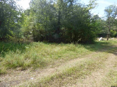 /international/us/661-county-road-1147-daingerfield-tx-110120508079/