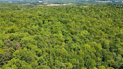 /international/us/0-state-route-919-fordsville-ky-110108080158/