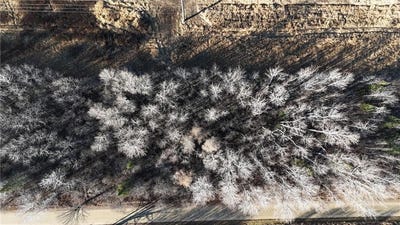 /international/us/parcel-b-parameter-road-deer-river-mn-110103725459/