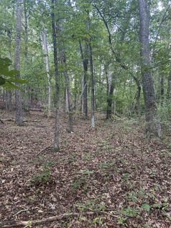 /international/us/hoges-orchard-lane-pembroke-va-110106252738/