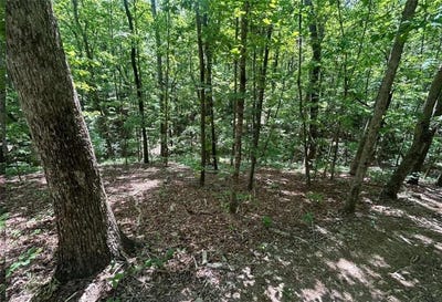/international/us/fouts-mill-rd-douglasville-ga-110108414171/
