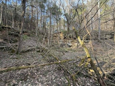 /international/us/5-acres-hwy-415-albany-ky-110107686517/