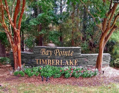 /international/us/104-bay-pointe-drive-chapin-sc-110101014846/?lang=pt