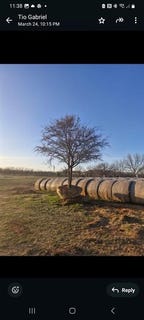 /international/us/401-county-road-326-comanche-tx-110098425566/