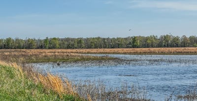 /international/us/1962-acres-upper-lockhart-road-cord-ar-110099927079/