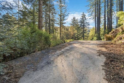 /international/us/315-alder-rd-boulder-creek-ca-110106338171/