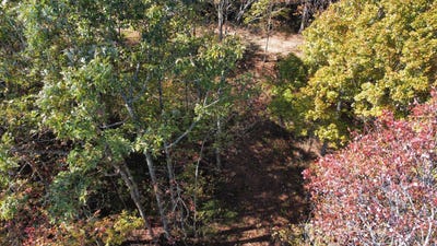 /international/us/lot-51-the-reserve-at-cliffview-zoe-ky-110095410477/?lang=en