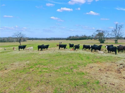 /international/us/tbd-pleasant-grove-road-iola-tx-110101091209/?lang=zh-tw