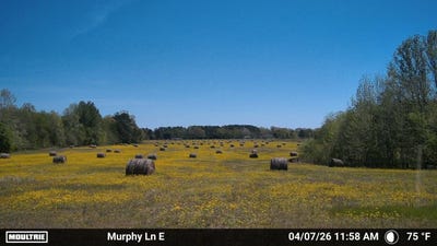 /international/us/980-murphy-ln-whiteville-tn-110108965406/