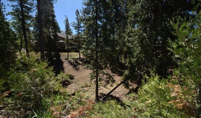 /international/us/42568-opal-lane-shaver-lake-ca-110089217477/