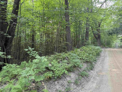 /international/us/190-circuit-road-ossipee-nh-110101401001/