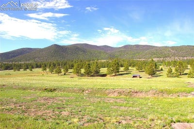 /international/us/43-stoll-circle-lake-george-co-110098404126/