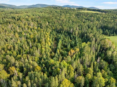 /international/us/harrys-way-colebrook-nh-110101940455/