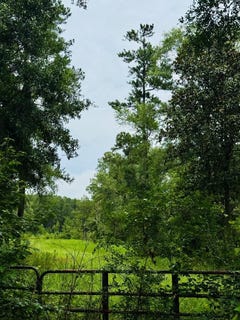 /international/us/devane-road-quitman-ga-110108890147/