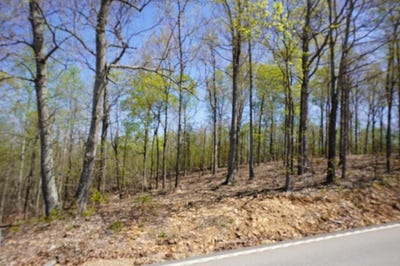/international/us/2-highway-232-stewart-tn-110097367331/