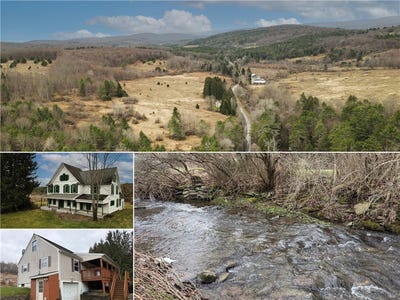 /international/us/373-county-highway-10-morris-ny-110107475809/