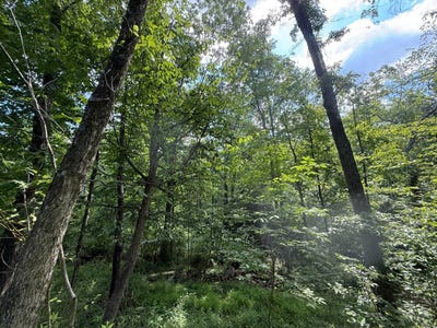 /international/us/364-ralston-rd-slippery-rock-pa-110100678067/