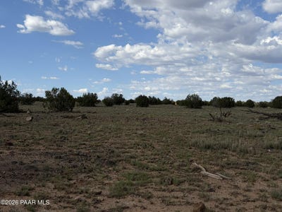 /international/us/59se-rocky-rabbit-road-ash-fork-az-110119958322/