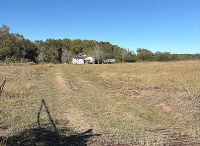 /international/us/3226-county-road-247-moravia-tx-110105313471/