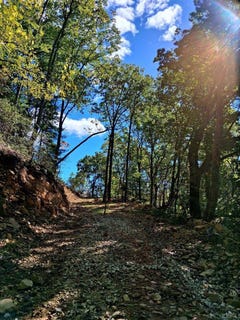 /international/us/0-mount-horeb-road-amherst-va-110103208978/