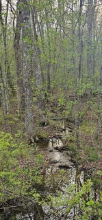 /international/us/lot-7-e-overlook-rd-monterey-tn-110099041057/