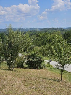 /international/us/6-links-view-drive-butler-ky-110106468163/