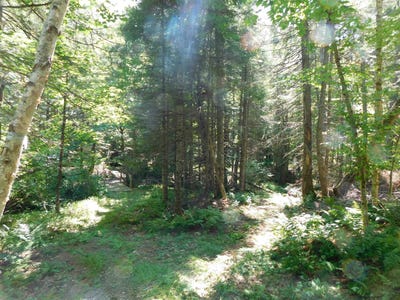 /international/us/cloutiers-loop-pittsburg-nh-110109621488/