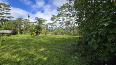 /international/us/kapuna-rd-pahoa-hi-110100983735/