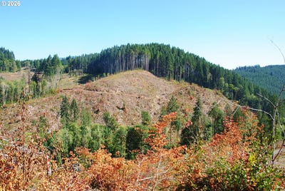 /international/us/van-horn-140-rd-alsea-or-110104602867/