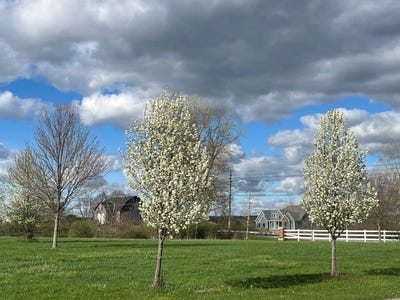 /international/us/0-shenango-drive-edinboro-pa-110096612908/