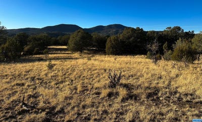 /international/us/100-black-dog-silver-city-nm-110096496256/?lang=zh-tw