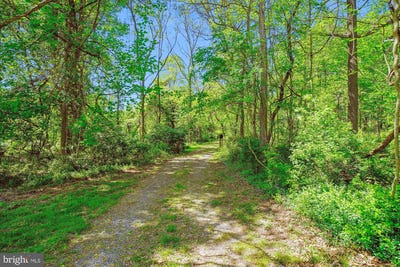 /international/us/19900-new-hampshire-avenue-brinklow-md-110091799908/