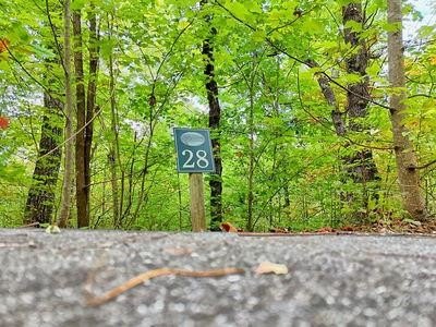/international/us/skyview-drive-lot-28-hayesville-nc-110108480425/