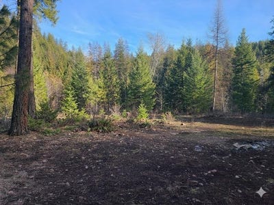 /international/us/2584-bridgeman-rettinger-rd-kettle-falls-wa-110107868298/