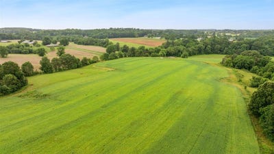 /international/us/70-27-acres-holland-road-scottsville-ky-110100303597/