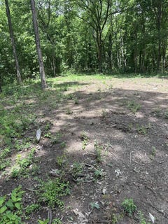 /international/us/n-watkins-rd-lot-4-millington-tn-110108964955/