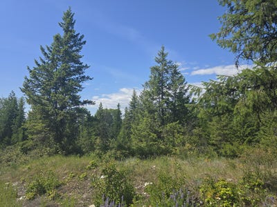 /international/us/3715-hill-loop-rd-kettle-falls-wa-110100688344/