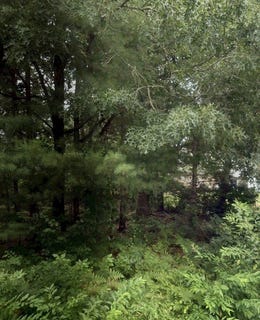 /international/us/59-park-wareham-ma-110106752859/