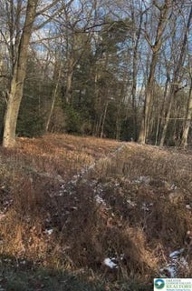 /international/us/n-sycamore-drive-penn-forest-twp-pa-110106371234/