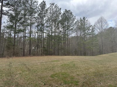 /international/us/colony-road-lot-2-section-c-manchester-ky-110106254421/