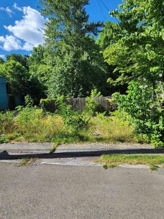 /international/us/65-creekside-dr-northfork-wv-110093103986/