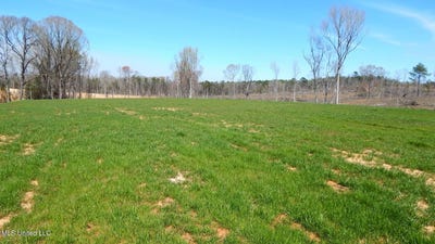 /international/us/688-graysport-crossing-road-lot-12-gore-springs-ms-110089772111/