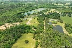/international/us/leahmon-lane-lot-6-mathews-al-110109025454/