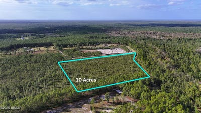 /international/us/3-chesser-hammock-road-pierson-fl-110096599927/
